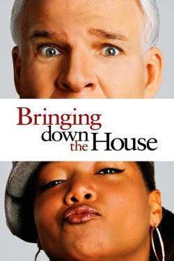Bringing Down the House (2003) - Subtitrat in Romana