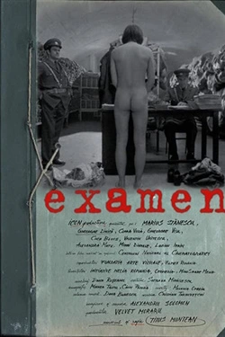 Examen (2003) - Online in Romana