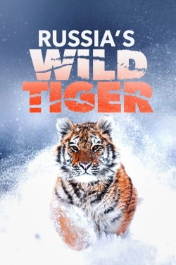 Russia's Wild Tiger (2022) - Subtitrat in Romana