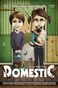 Vizioneaza Domestic (2012) - Online in Romana