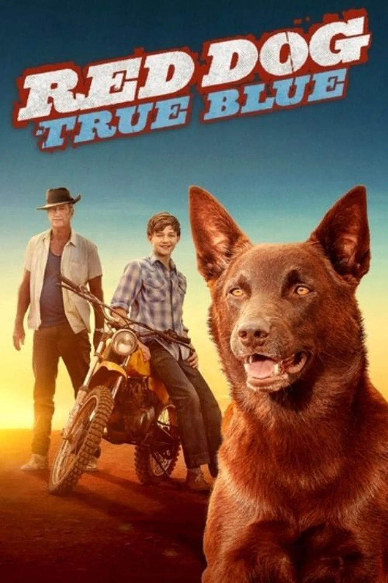Vizioneaza Red Dog: True Blue (2016) - Subtitrat in Romana