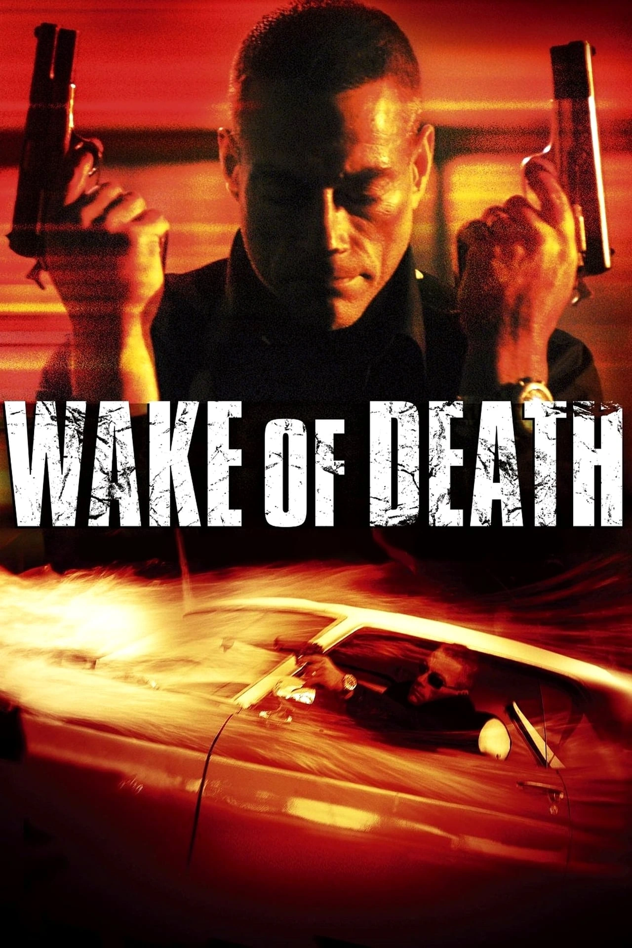 Vizioneaza Wake of Death (2004) - Subtitrat in Romana
